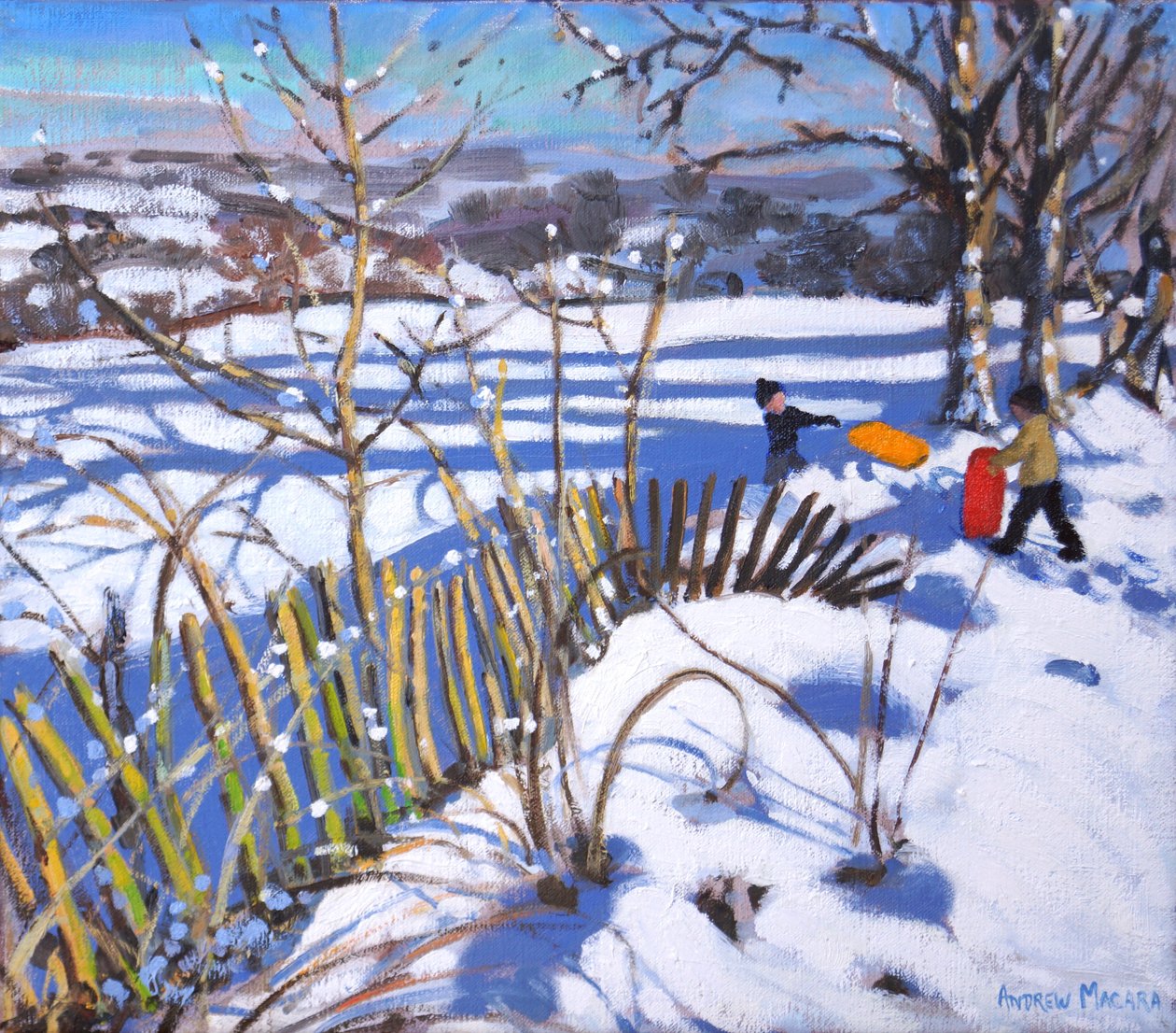 红色和橙色雪橇，德比郡，2017， 作者 安德鲁·马卡拉（Andrew Macara）