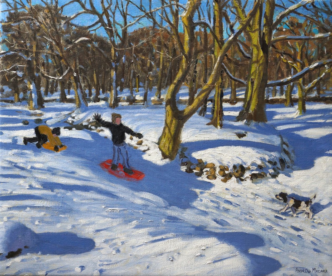 红色雪橇，Lomberdale Hall，德比郡，2014， 作者 安德鲁·马卡拉（Andrew Macara）