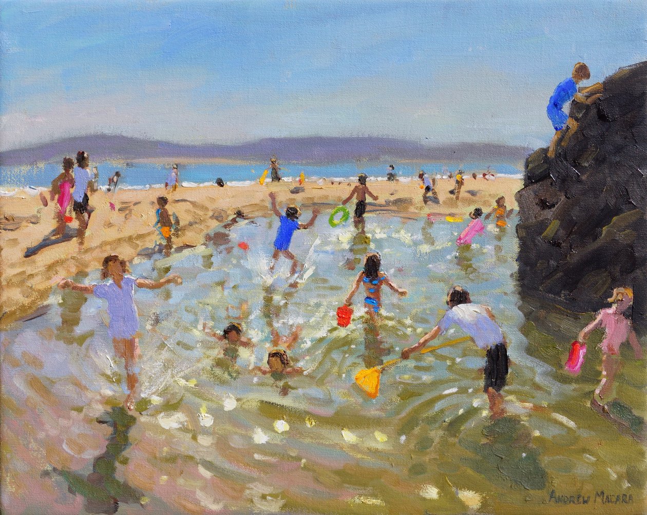 Rock pool.Tenby，2016 作者 安德鲁·马卡拉（Andrew Macara）