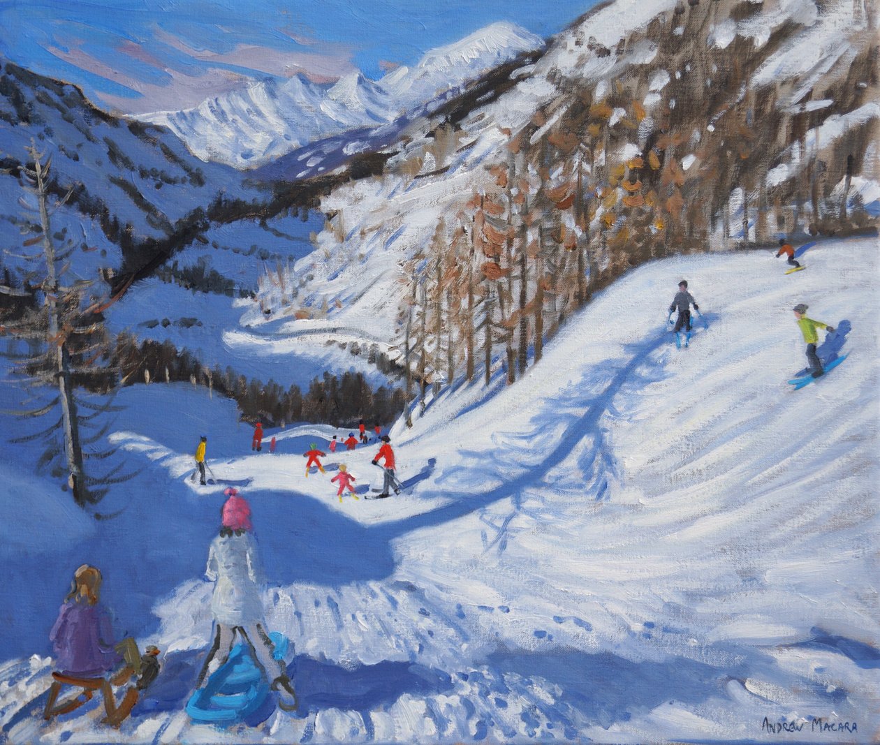 枞树的影子和滑雪者Tignes.2014， 作者 安德鲁·马卡拉（Andrew Macara）