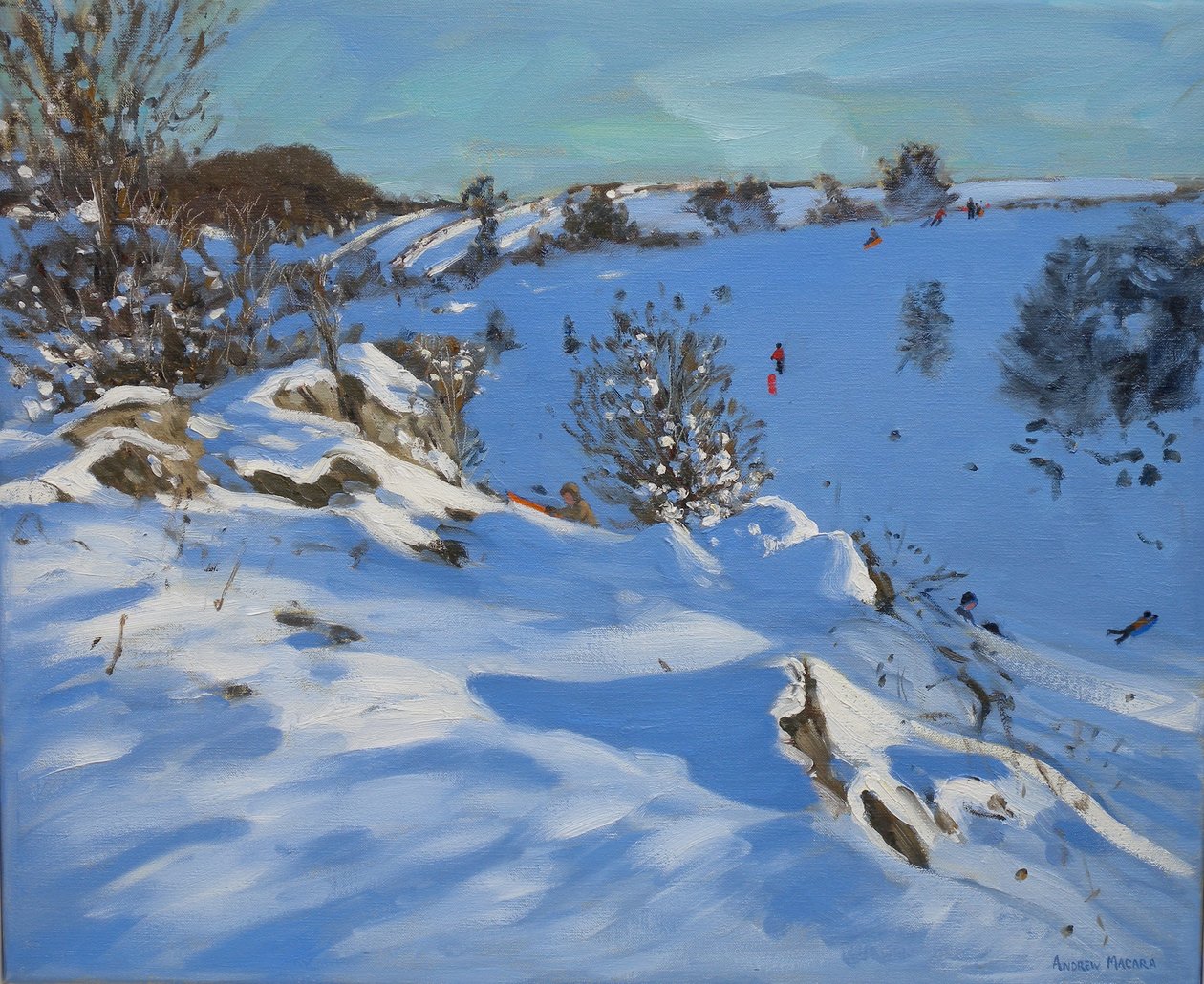 作者 安德鲁·马卡拉（Andrew Macara）