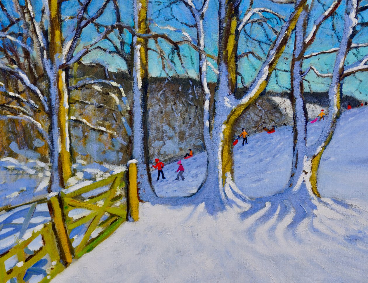 雪橇，德比郡，达尔巷，2017年， 作者 安德鲁·马卡拉（Andrew Macara）