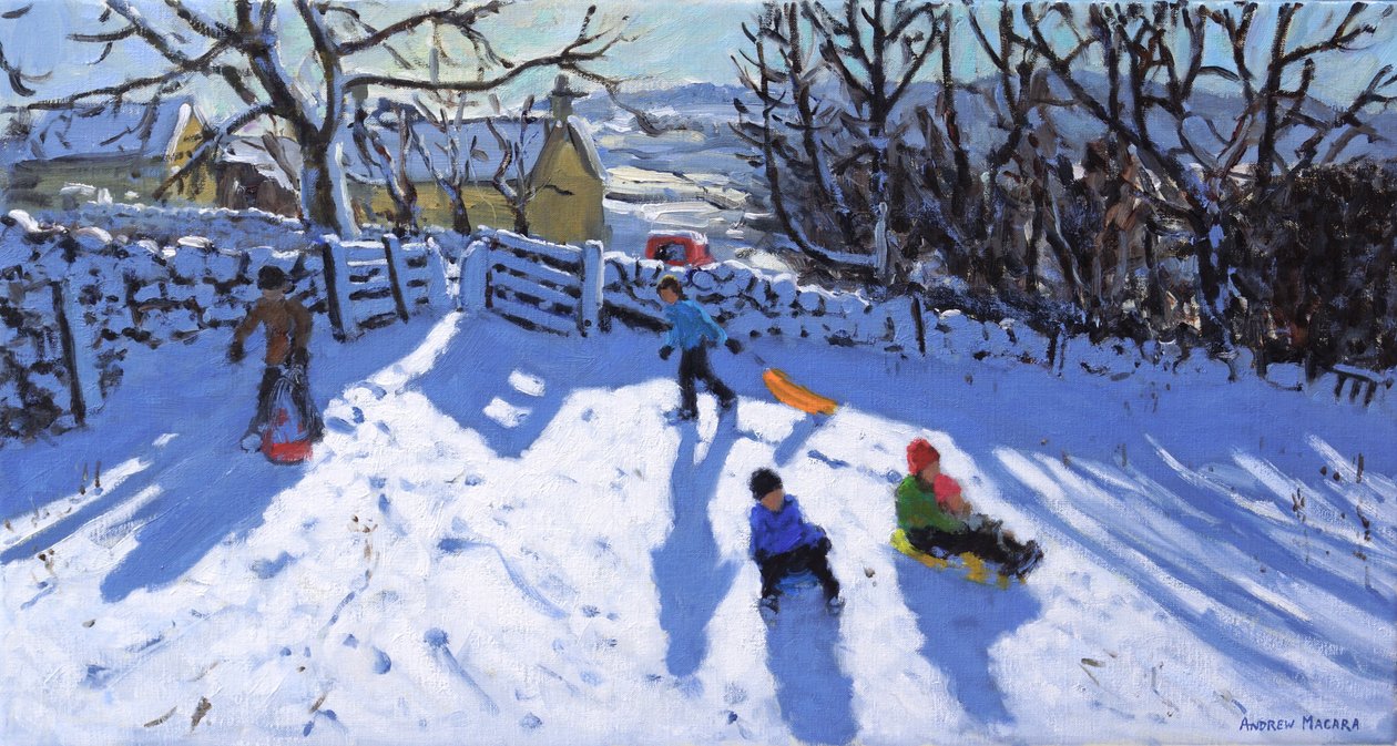 Sledging,Hartington,Buxton,2020 作者 安德鲁·马卡拉（Andrew Macara）