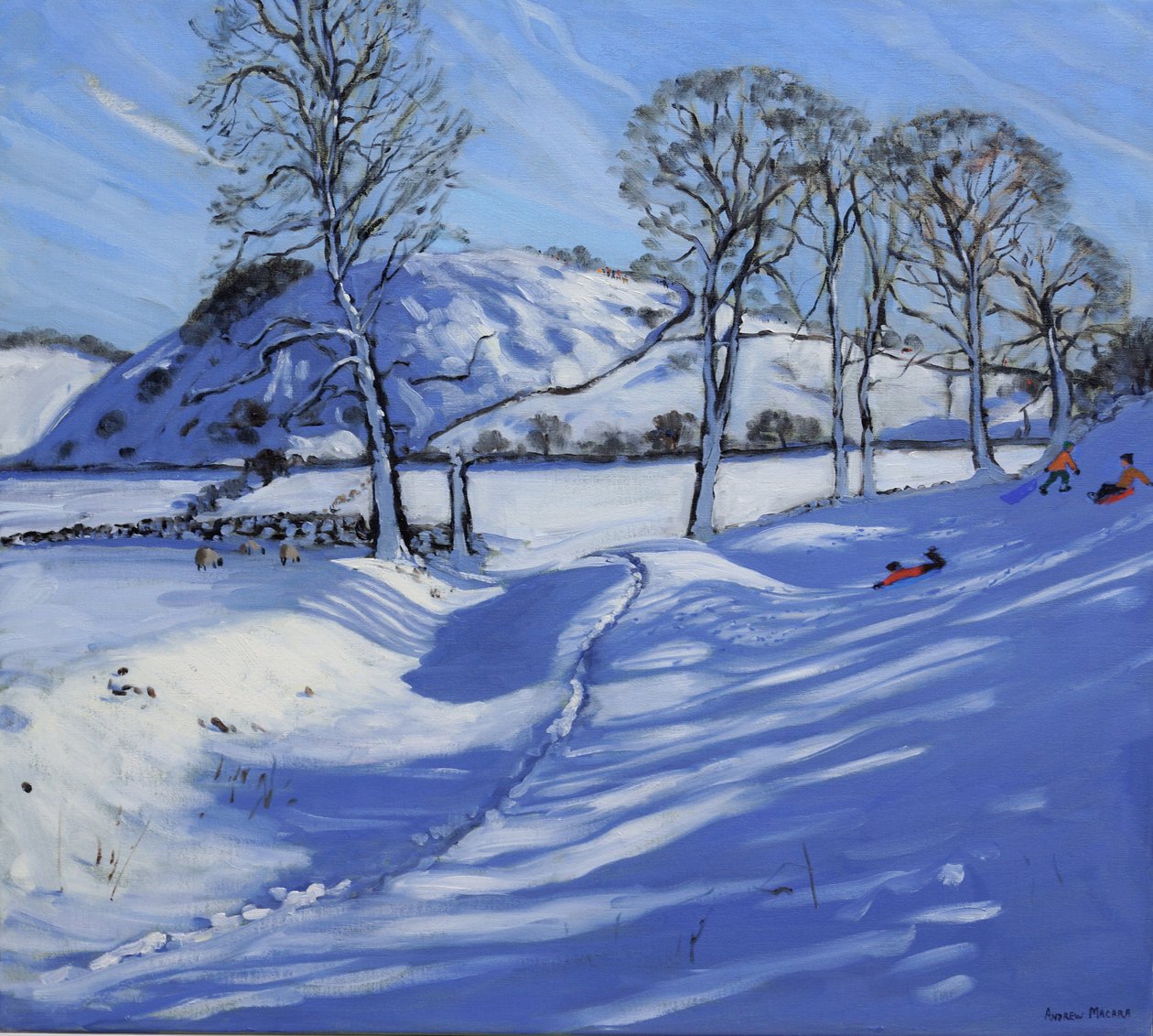 雪橇，德比郡峰区，2012 作者 安德鲁·马卡拉（Andrew Macara）