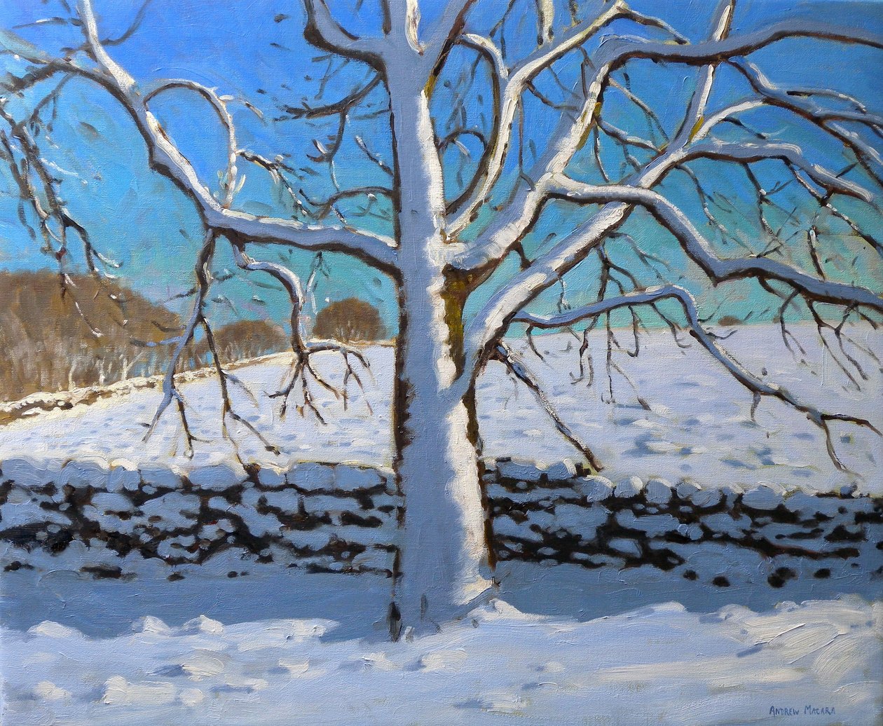 雪覆盖的树，2011（布面油画） 作者 安德鲁·马卡拉（Andrew Macara）