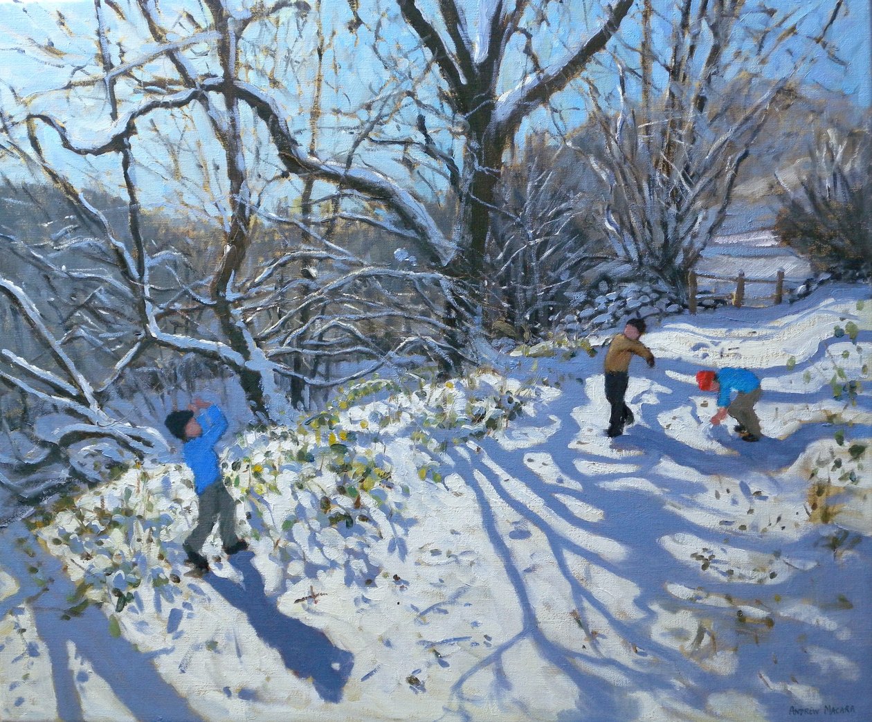 雪球大战，2007年 作者 安德鲁·马卡拉（Andrew Macara）