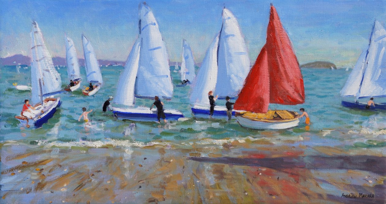 夏季帆船赛，Abersoch，2016， 作者 安德鲁·马卡拉（Andrew Macara）