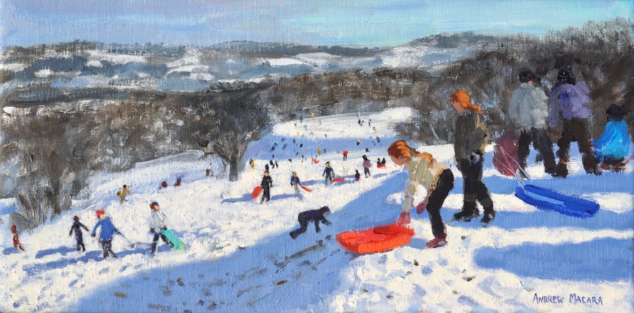 红色雪橇，Allestree公园，德比，2016， 作者 安德鲁·马卡拉（Andrew Macara）