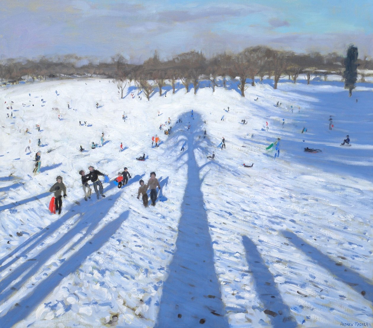  作者 安德鲁·马卡拉（Andrew Macara）