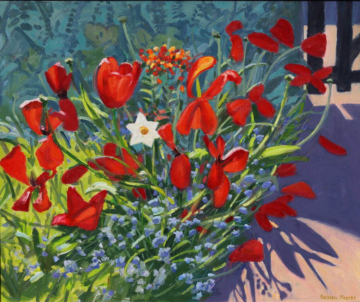 大门旁的郁金香，2017年， 作者 安德鲁·马卡拉（Andrew Macara）