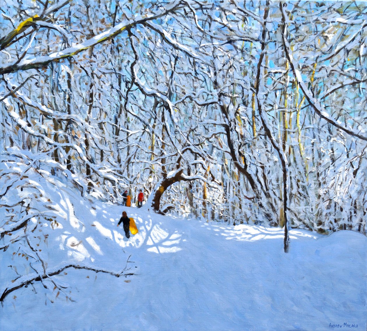 黄色和橙色雪橇，Allestree公园，德比。 36 x40,2018， 作者 安德鲁·马卡拉（Andrew Macara）