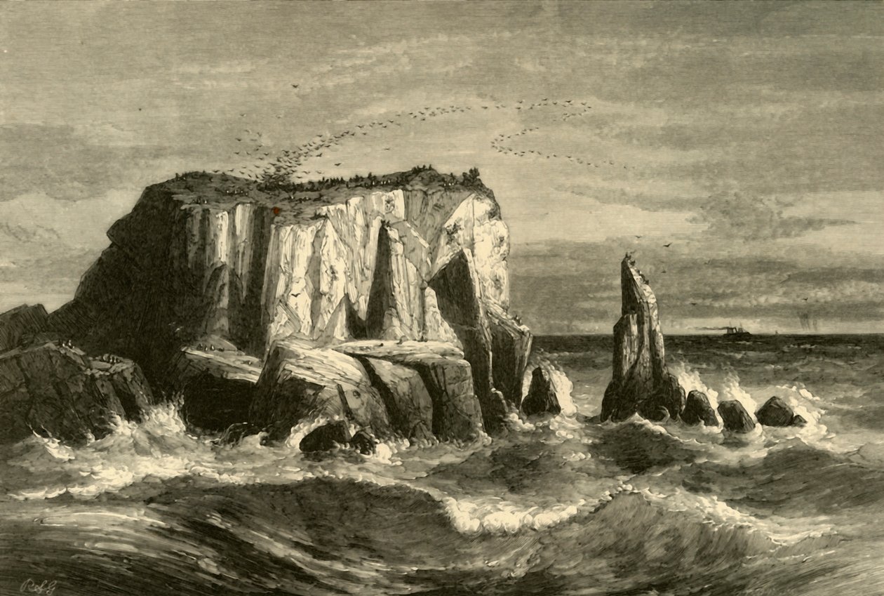 海岸风景，马林县》，1872年。 作者 安德鲁·瓦里克·斯托特·安东尼
