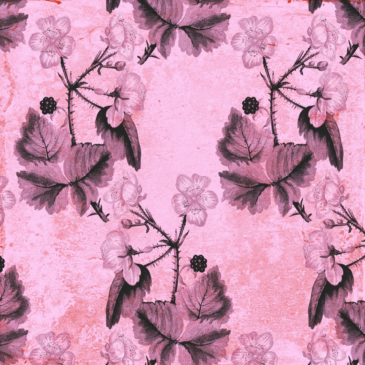 Blackberry Floral, 2017, watercolour and digital 作者 安德鲁·沃森
