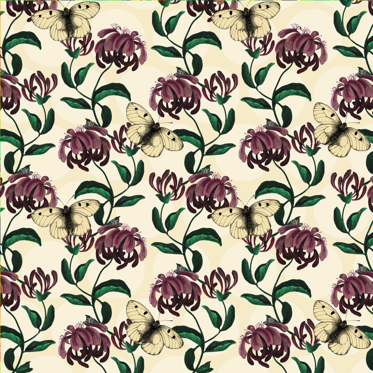 Honeysuckle with Clouded Apollo-light, 2017 (watercolour, ink, digital) 作者 安德鲁·沃森
