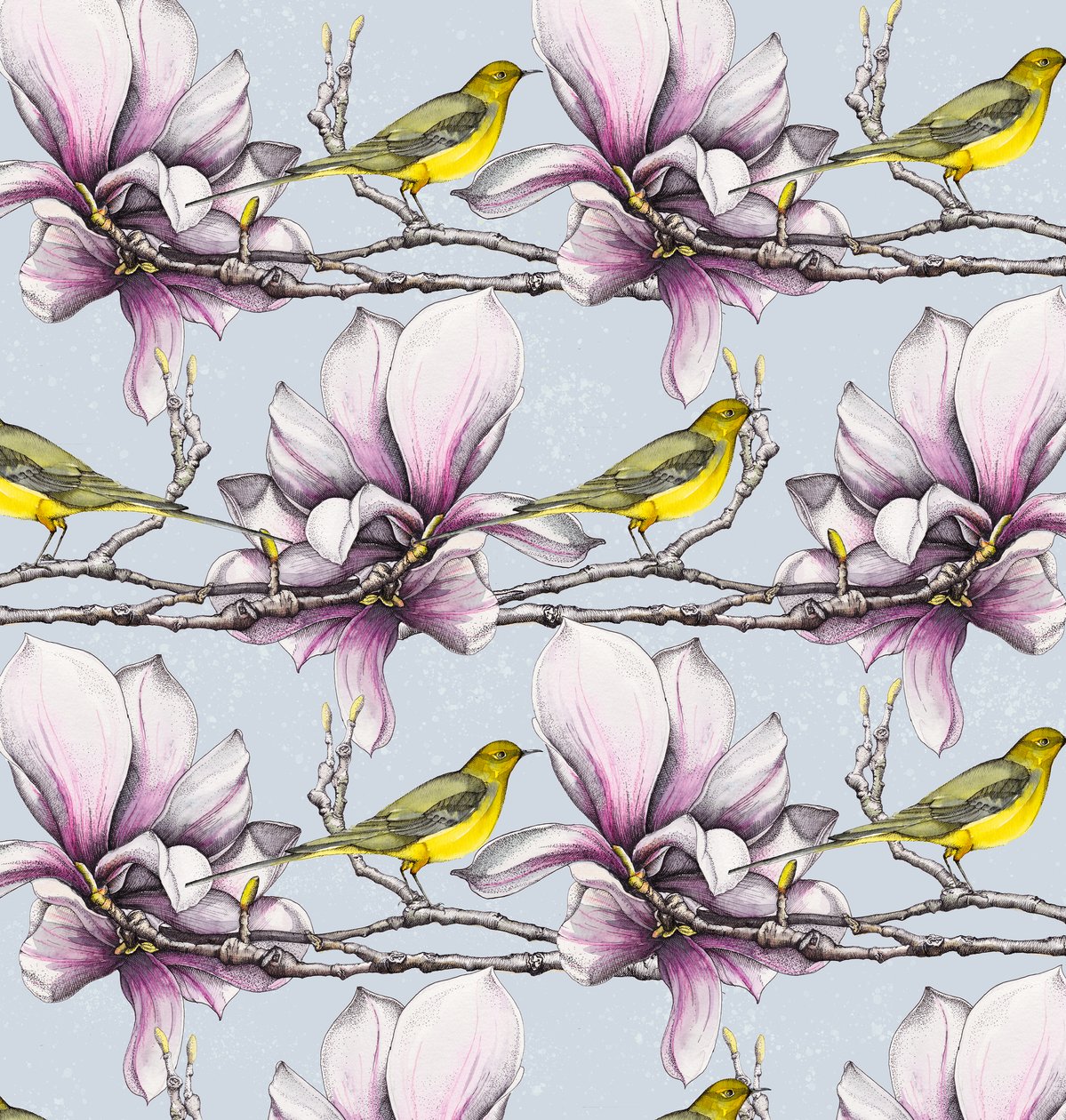 Magnolia and Yellow Wagtails, 2019 (watercolour, pen) 作者 安德鲁·沃森