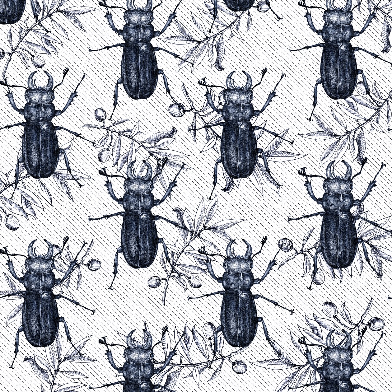 Stag Beetles, 2017, Ink 作者 安德鲁·沃森