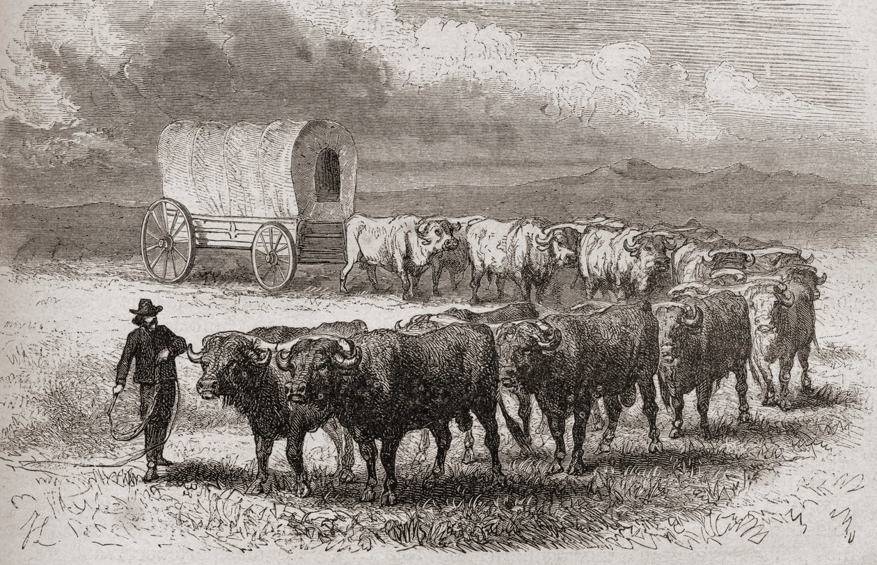 1867年驾驶牛在美国大平原上驾驶，1878年出版的“世界在手中” 作者 昂热·路易斯·珍妮特