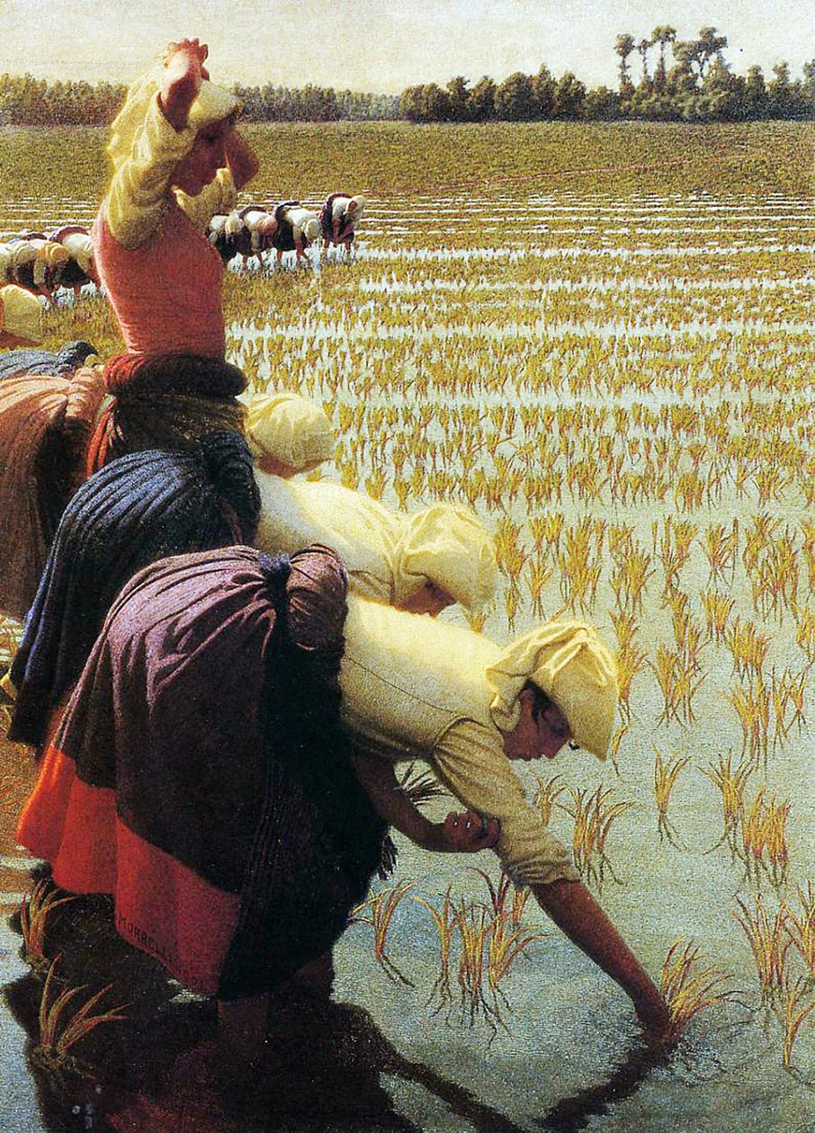意大利稻田，1901年 作者 安吉洛·莫贝利（Angelo Morbelli）