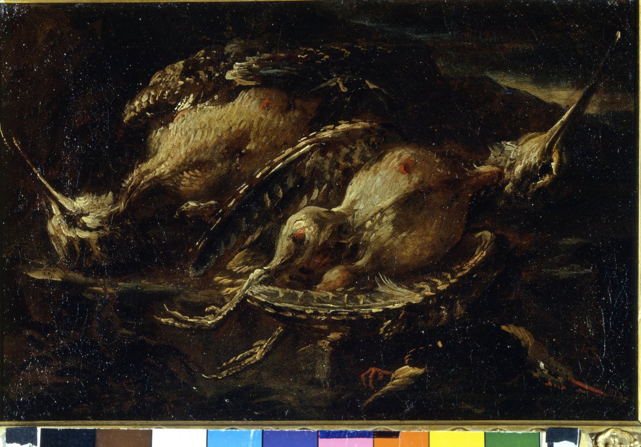 鸟的静物。 安吉洛·玛丽亚·克里维隆 (Angelo Maria Crivelone) 的绘画 (? - 1730/60?)。 米兰，CRA。 作者 安吉洛·玛丽亚·克里维利（Angelo Maria Crivelli）