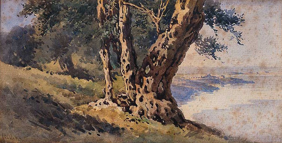  nEnglish: Landscapen 作者 安吉洛斯·贾利纳斯（Angelos Giallinas）