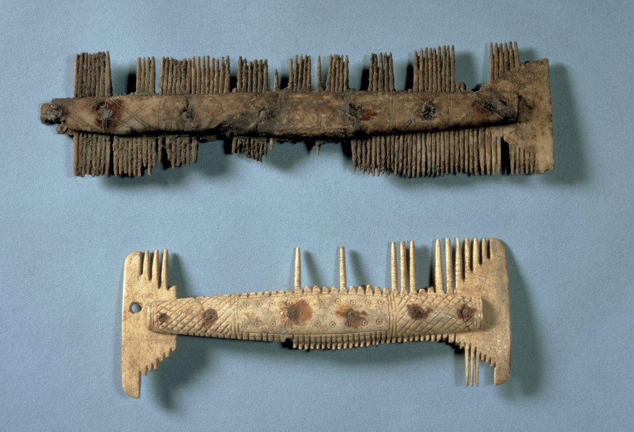 Combs，Anglo-Saxon，可能是5世纪到7世纪（骨头） 作者 盎格鲁撒克逊人
