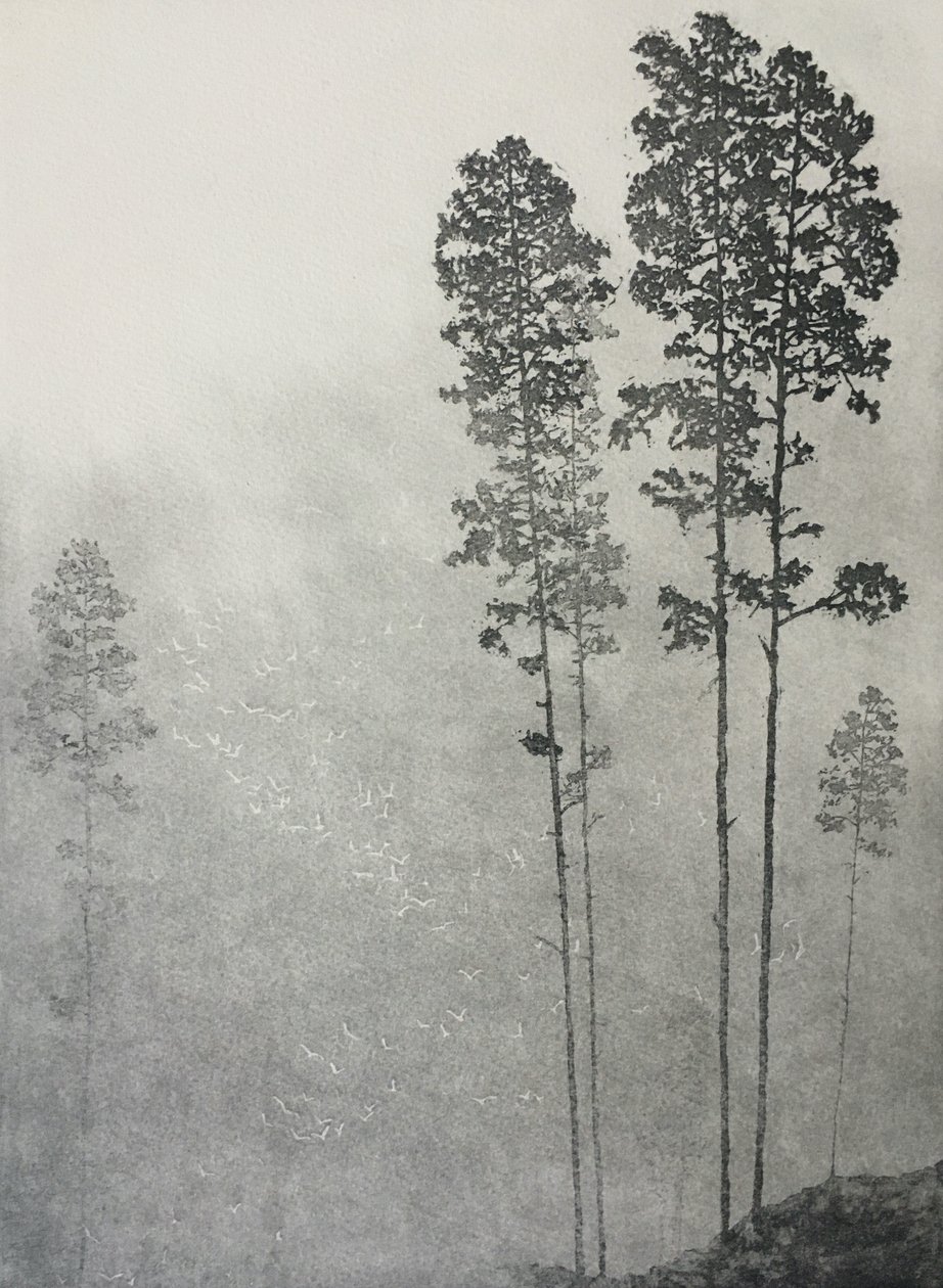 树叶拍打，翅膀沙沙，2021 年（蚀刻版画和纸面水印版画） 作者 安格斯火腿