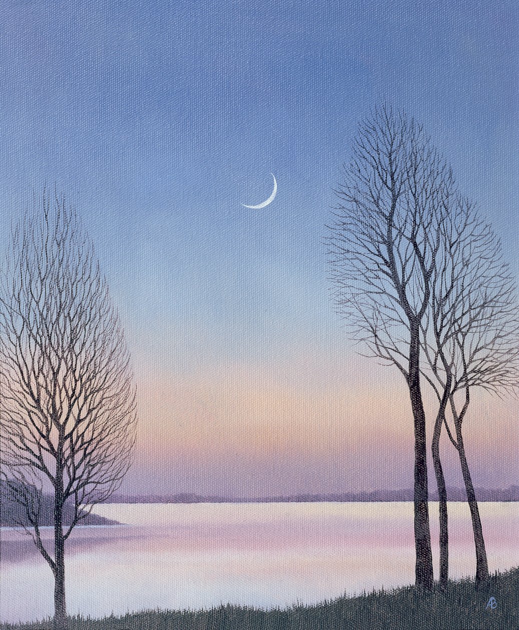 Draycote的黄昏，2008年 作者 安脑