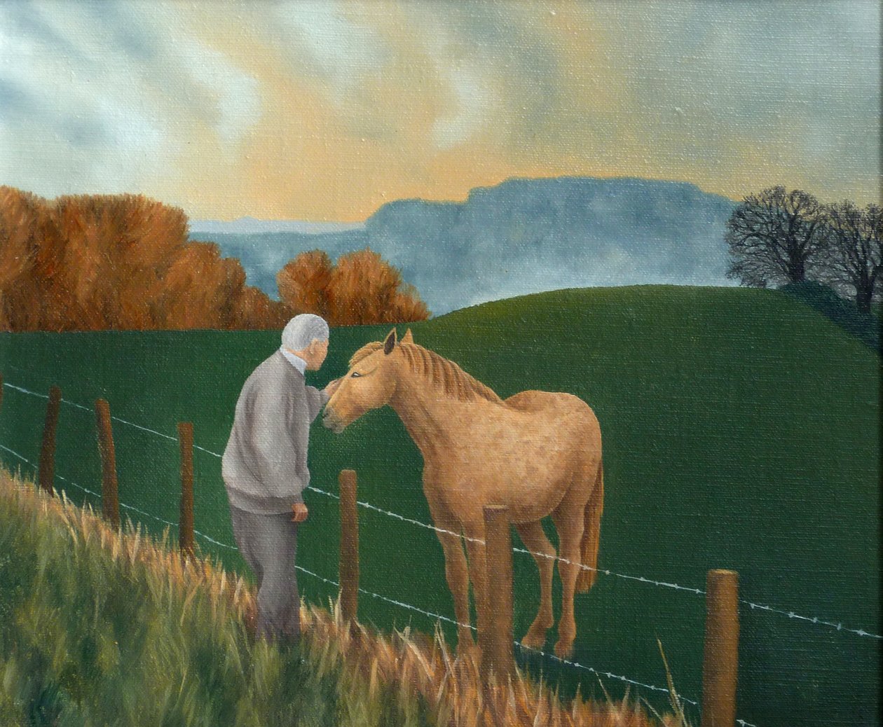 遭遇，1992年 作者 安脑