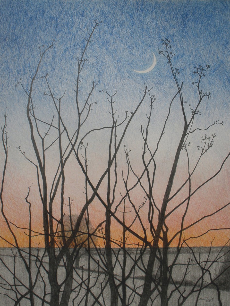 从我的窗口，2011年（彩色铅笔在纸上） 作者 安脑