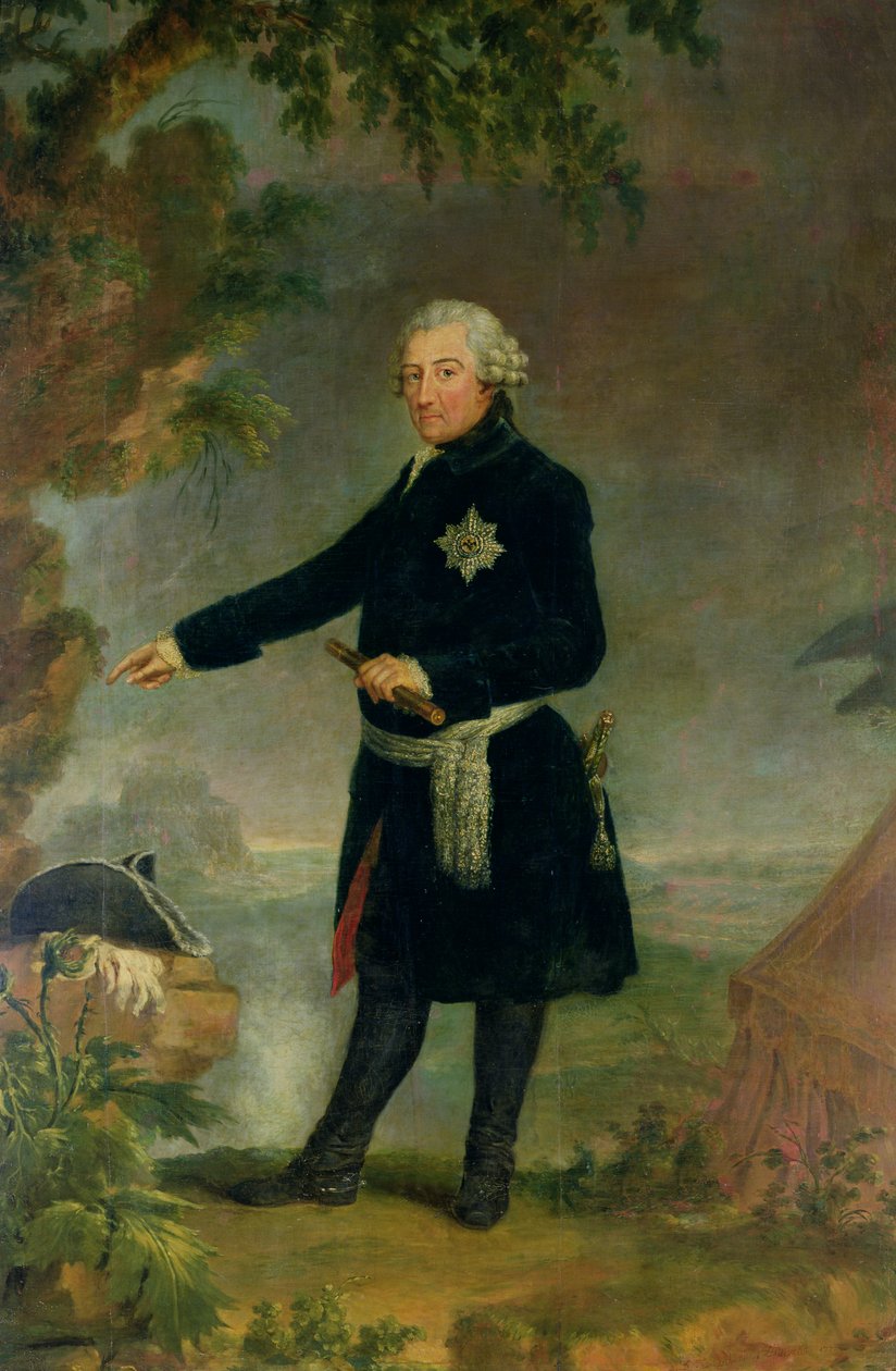 弗雷德里克二世（1712-86）伟大的肖像，1772年 作者 安娜·多萝西亚Therbusch