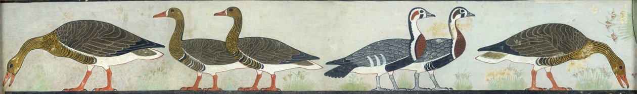 来自Itet的Mastaba的壁画副本，Medum IV，93-94只鹅，20世纪 作者 安娜
