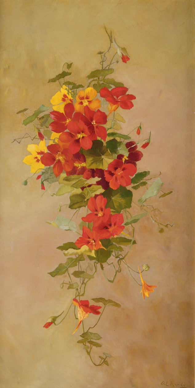Nasturtiums 作者 安娜·伊丽莎·哈迪（Anna Eliza Hardy）