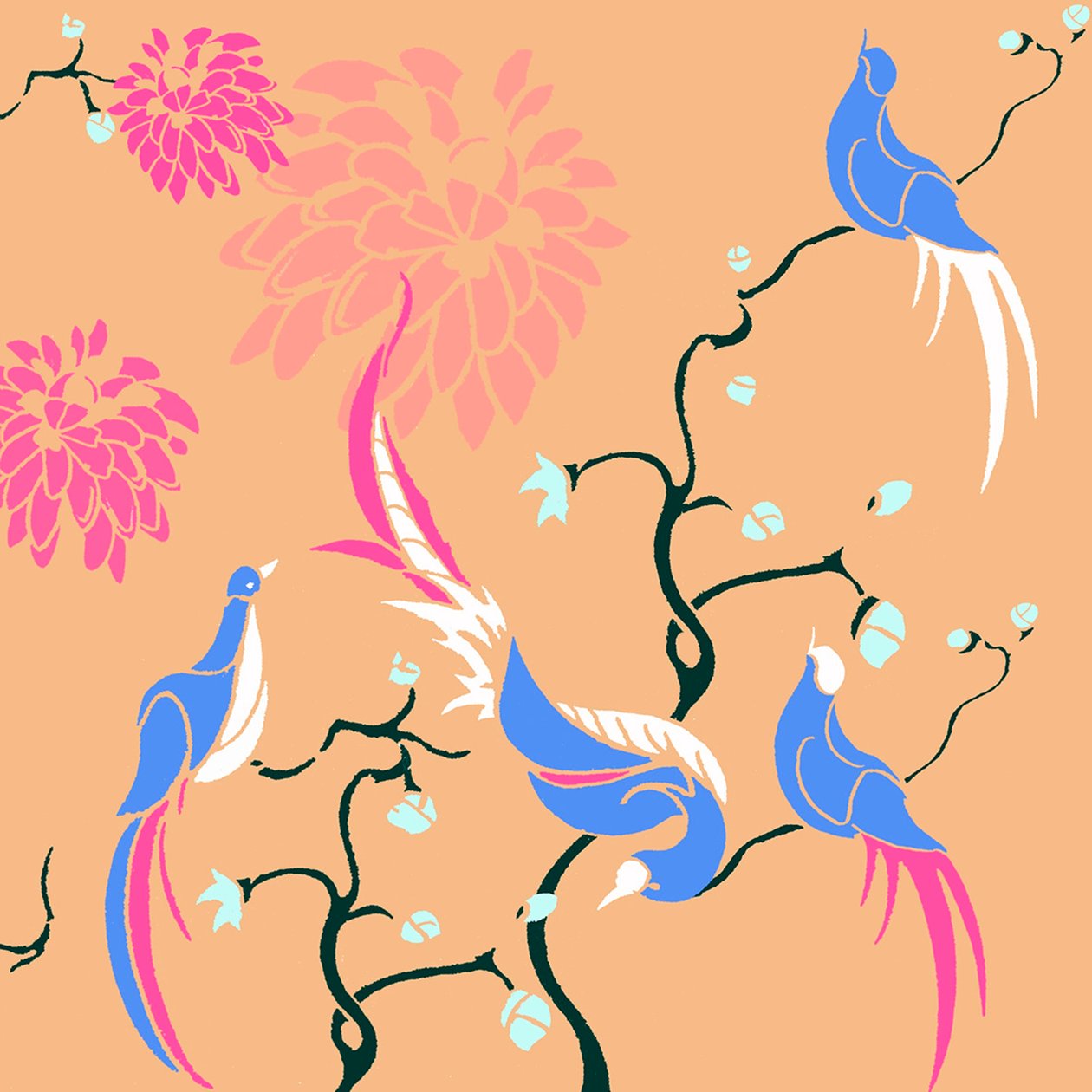 开花鸟 作者 安娜·普拉茨（Anna Platts）