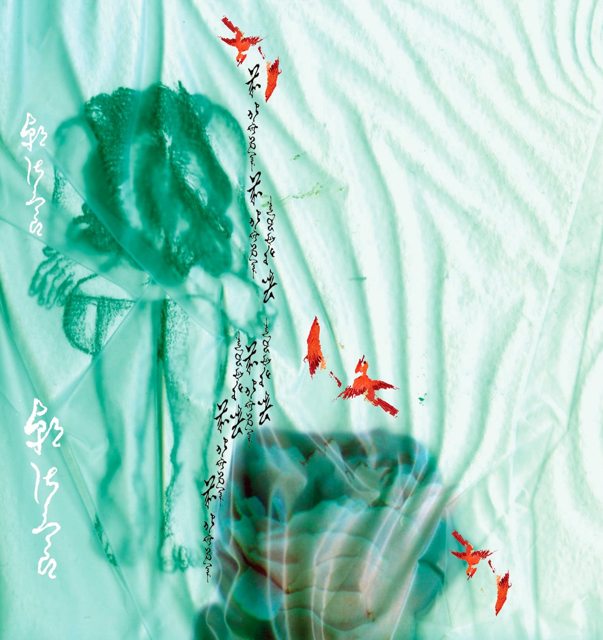 救世蓝 作者 安娜·普拉茨（Anna Platts）