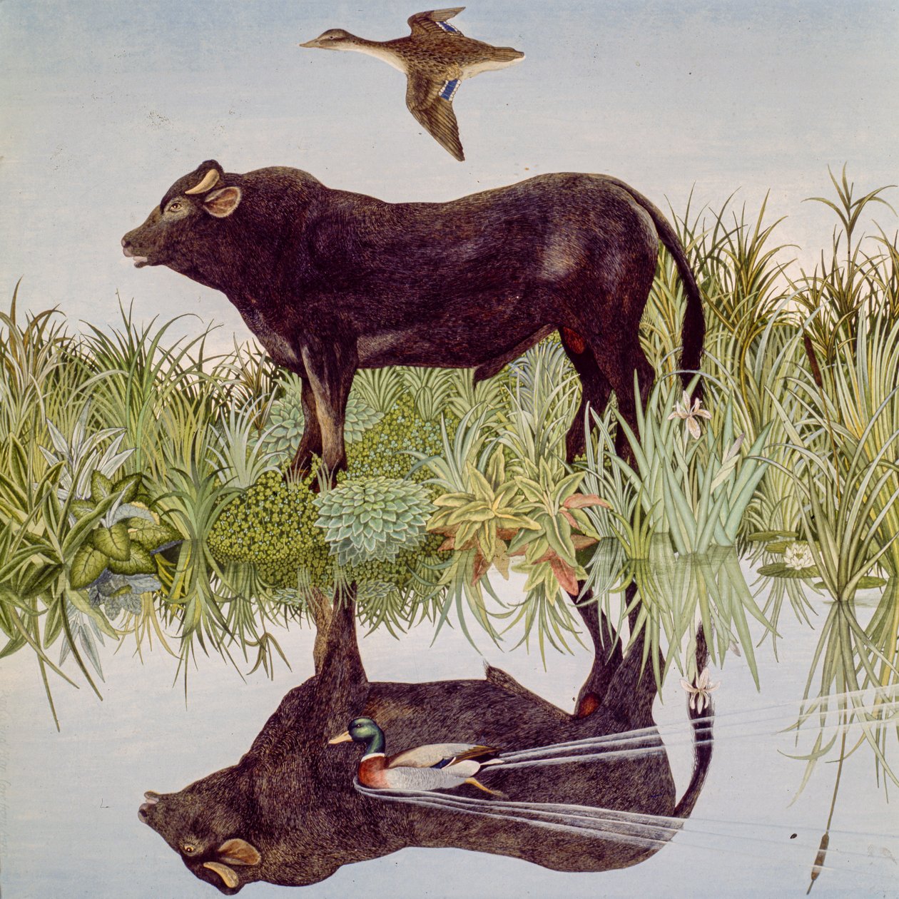 反思》，2004 年（丙烯） 作者 