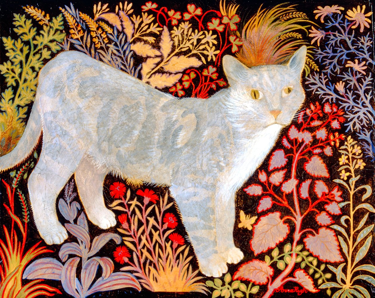 银色虎斑猫 作者 