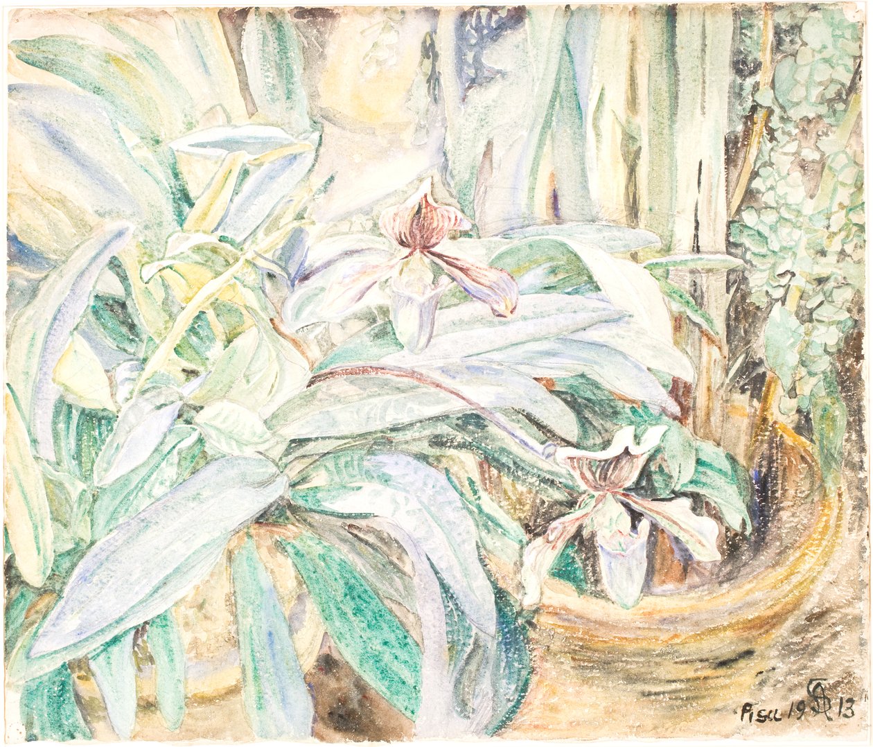 比萨植物园兰花 作者 安娜·西伯格（Anna Syberg）