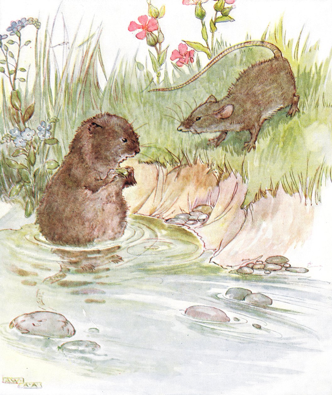 “被称为家族的老朋友Squire Water Rat”，来自“The Mischievious Mousie Book”的插图，由Thomas Nelson und Sons出版，20世纪20年代 作者 安妮·安德森（Anne Anderson）