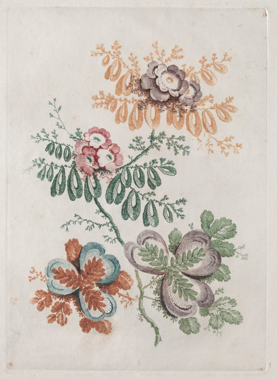理想用于设计和绘画的新花卉组合套件：花卉幻想，c。 179 作者 安妮·艾伦