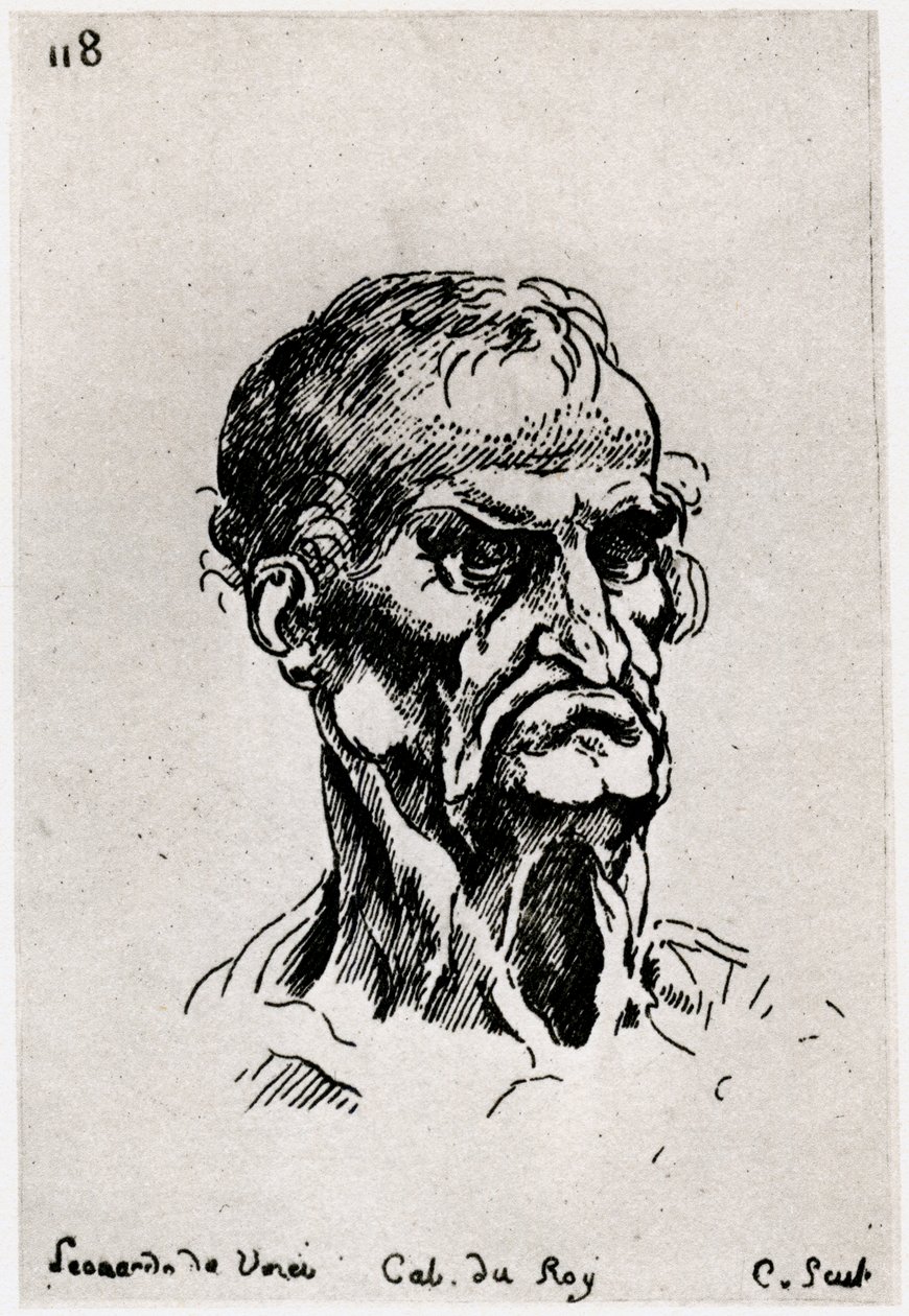 莱昂纳多·德·芬奇（Leonardo de Vinci），c1710-1765，1924年作画 作者 安妮·克劳德·菲利普·德·卡勒斯