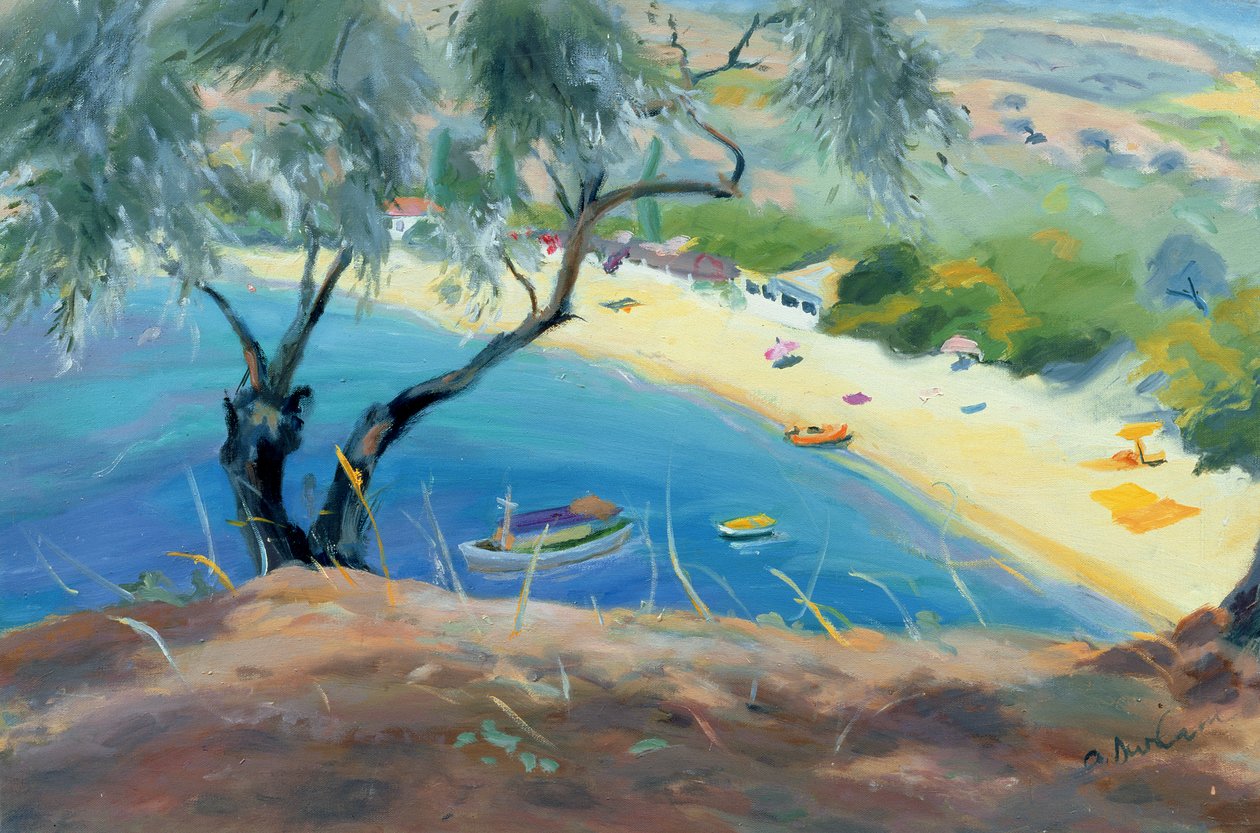 Achladies Bay，Skiathos，Greece，1985 作者 安妮·达勒姆（Anne Durham）