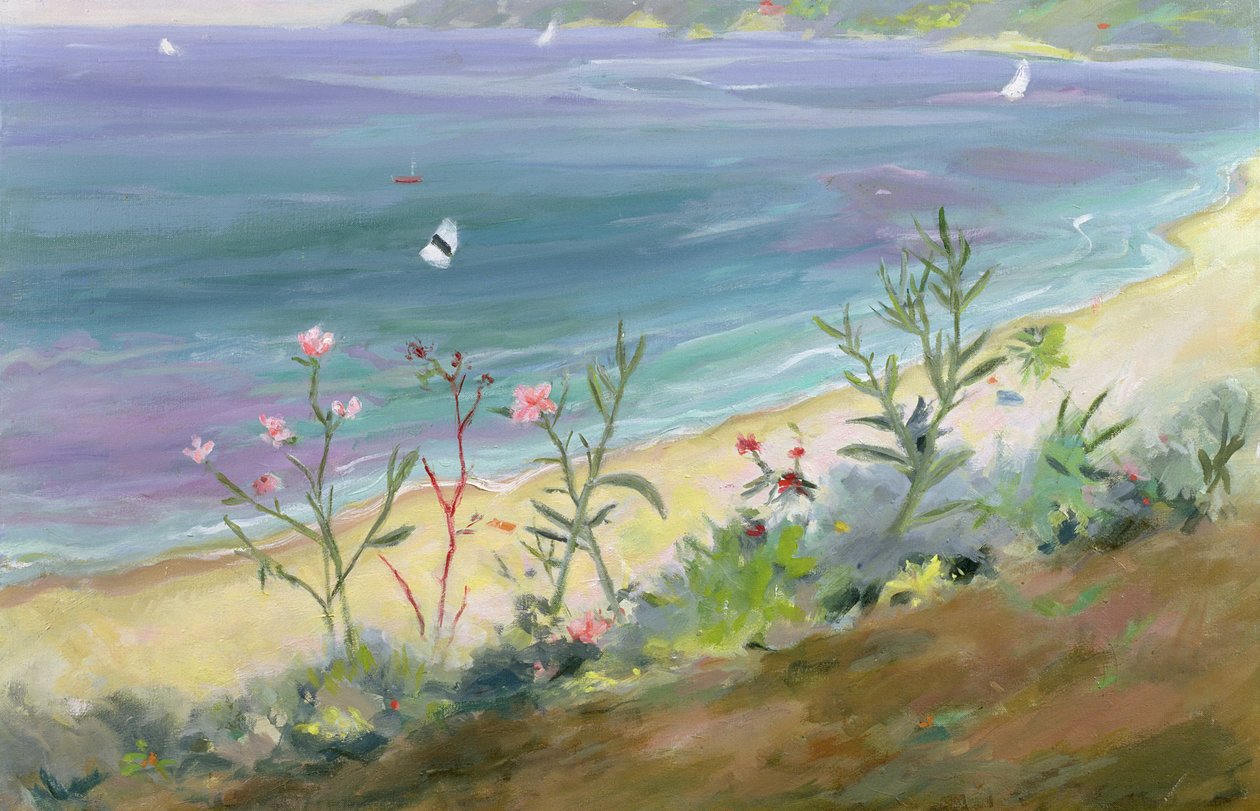 Agios Gordios，希腊科孚岛 作者 安妮·达勒姆（Anne Durham）