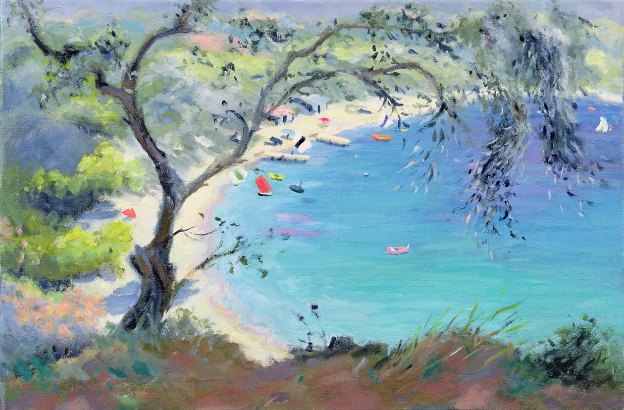 Lichnos Bay，伊庇鲁斯，希腊，1995年 作者 安妮·达勒姆（Anne Durham）