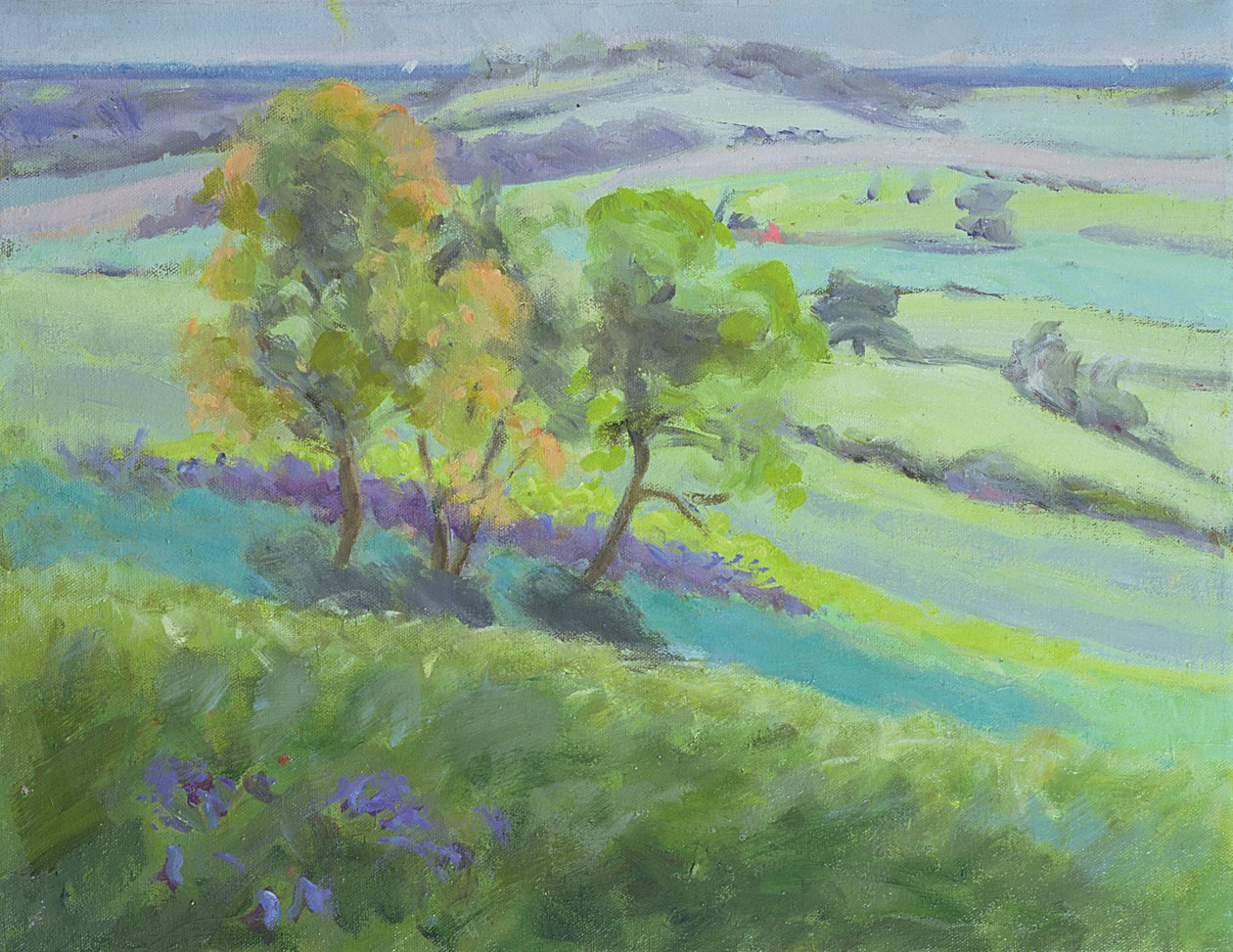 走向Winchelsea，苏塞克斯，春天的Bluebells 作者 安妮·达勒姆（Anne Durham）