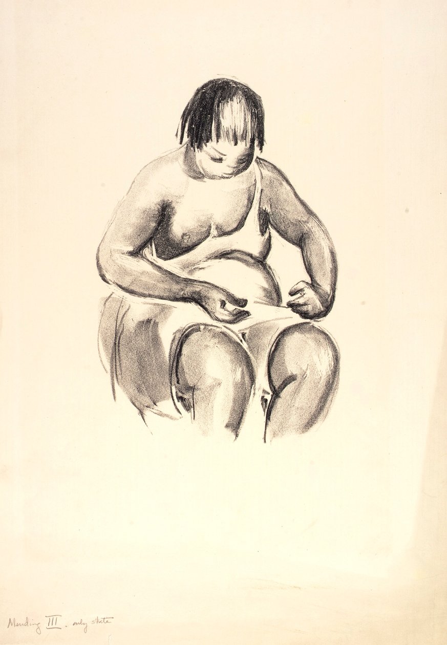 修补 III 作者 安妮·戈德怀特（Anne Goldthwaite）