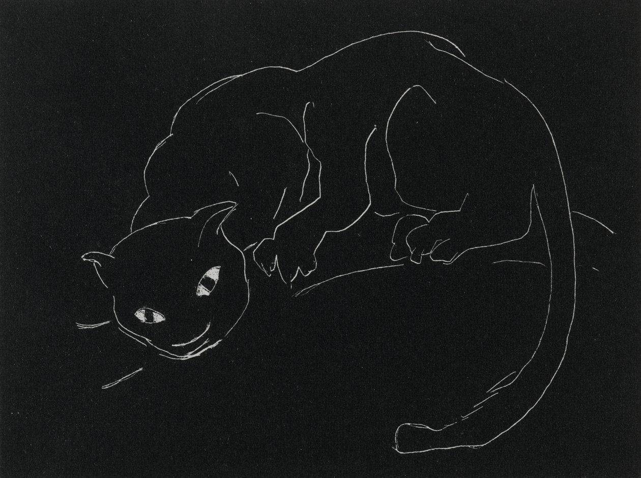 夜系列：猫（平纹纸，编织纸上的白线） 作者 安妮·戈德怀特（Anne Goldthwaite）