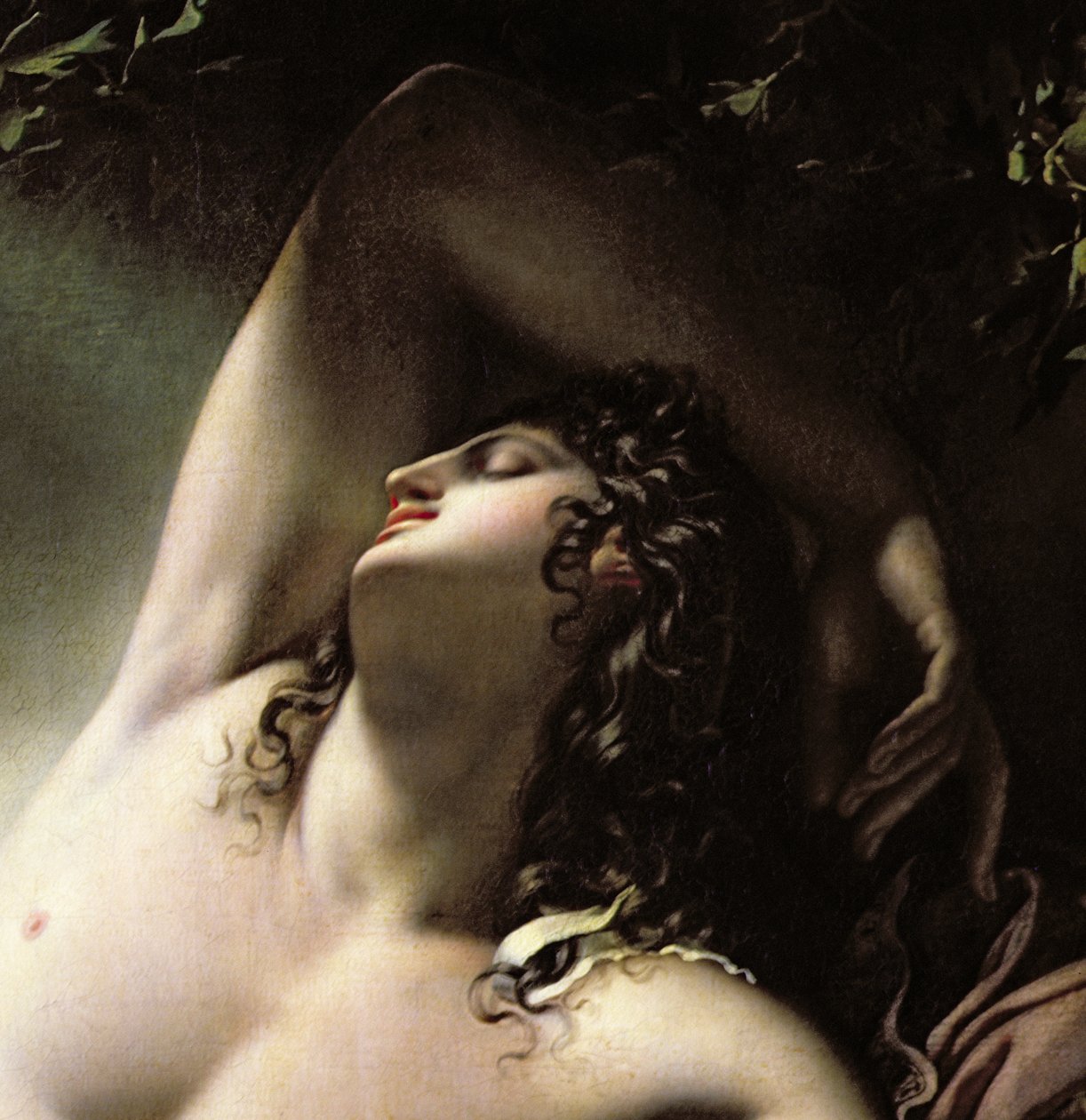 睡眠的Endymion，1791（详情） 作者 安妮·路易斯·吉罗代德·鲁西·特里森