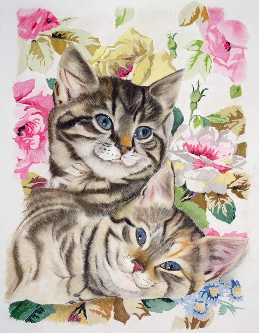 两只小猫 作者 安妮·罗宾逊