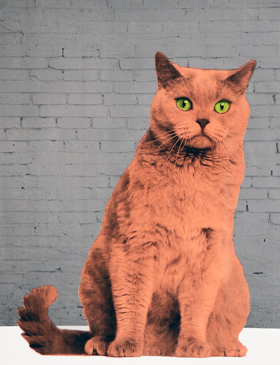 Everybody wants to be a cat, 2017 作者 安妮取消