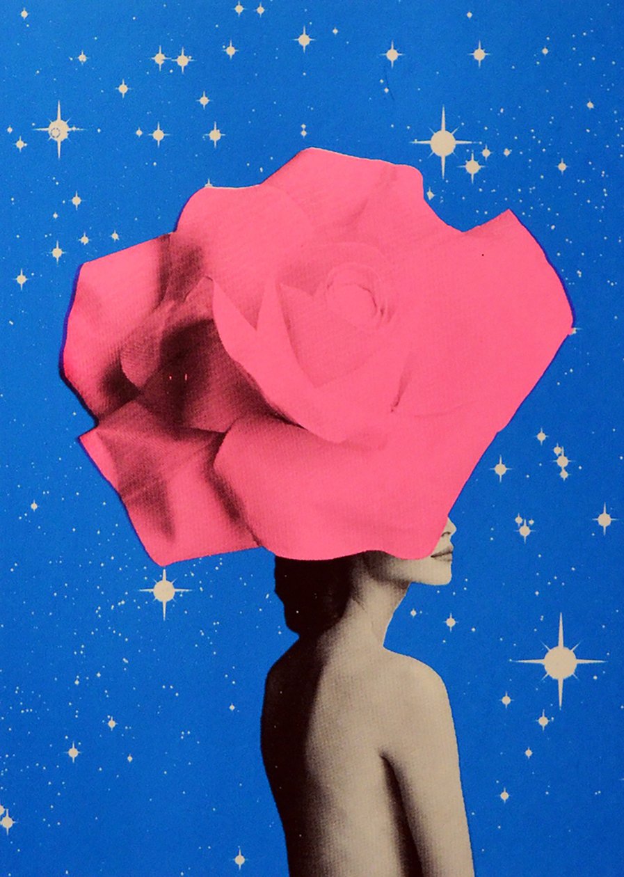 The secret woman, 2017 作者 安妮取消